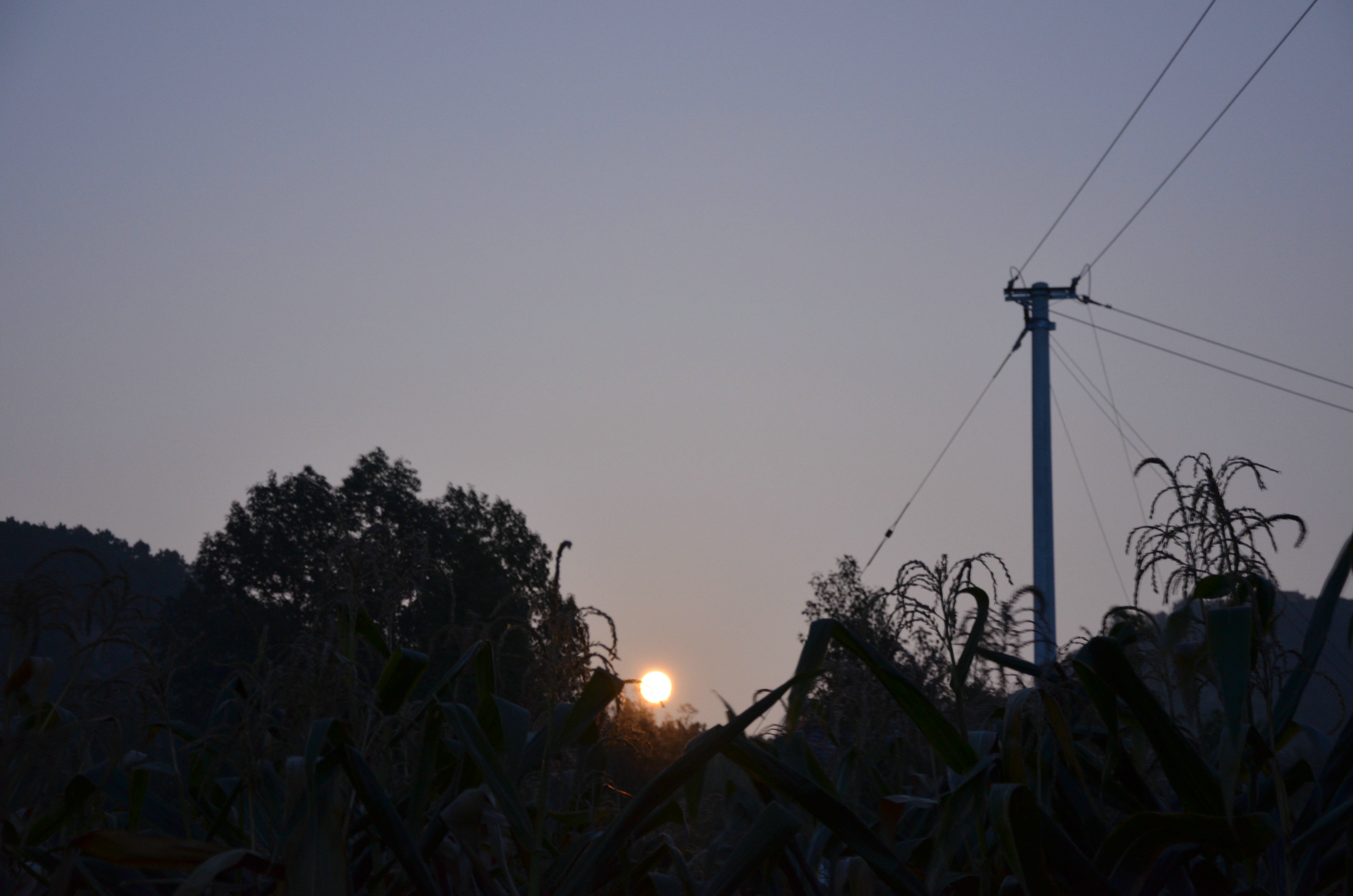 DSC_1015.JPG