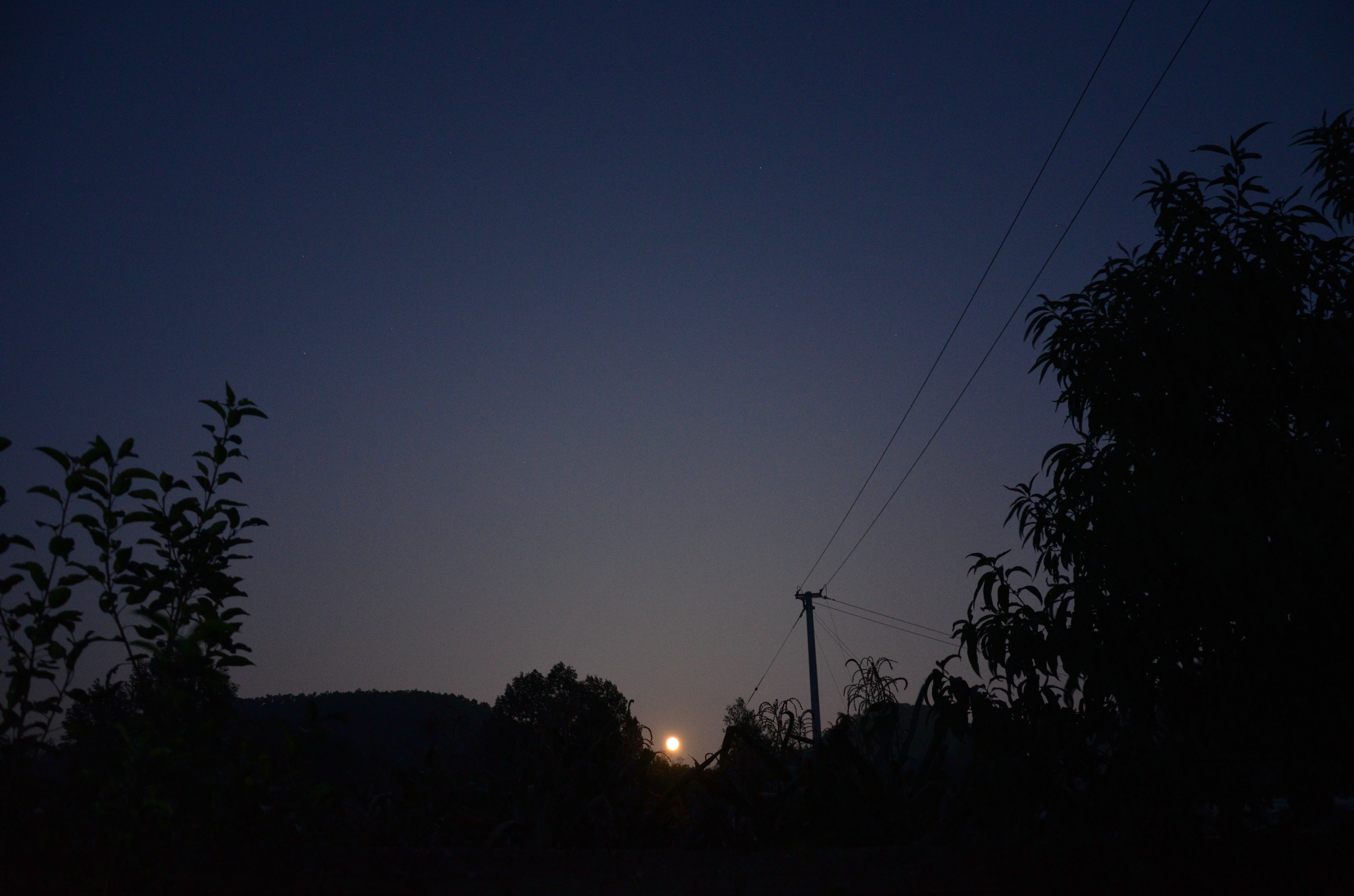 DSC_1020.JPG