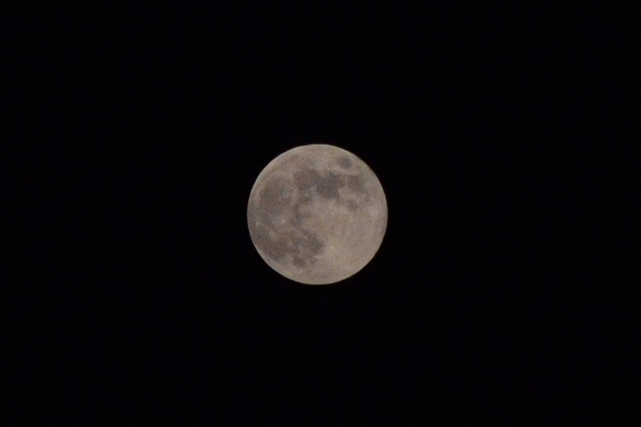 DSC_1171.jpg