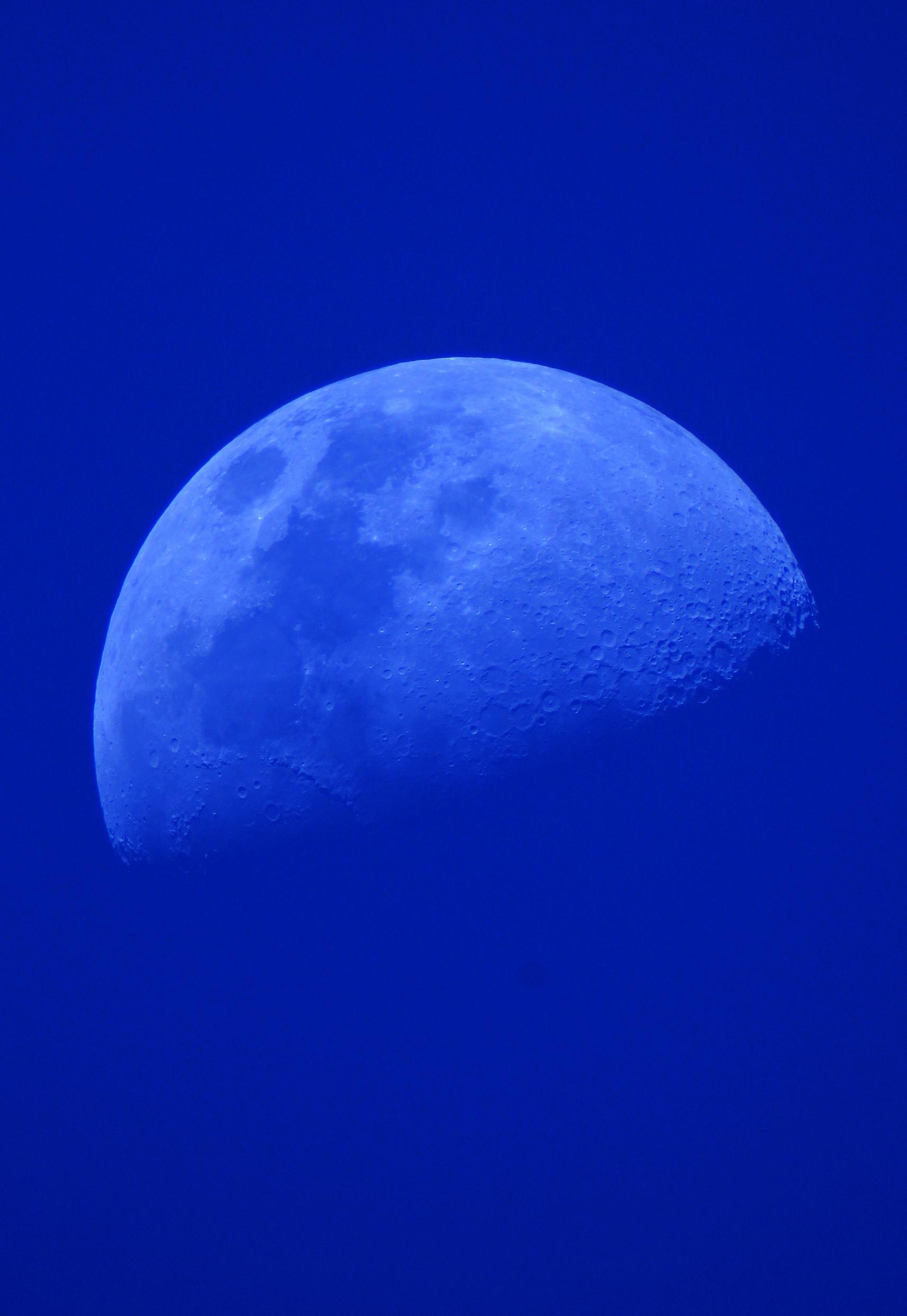 复件 IMG_3617.JPG