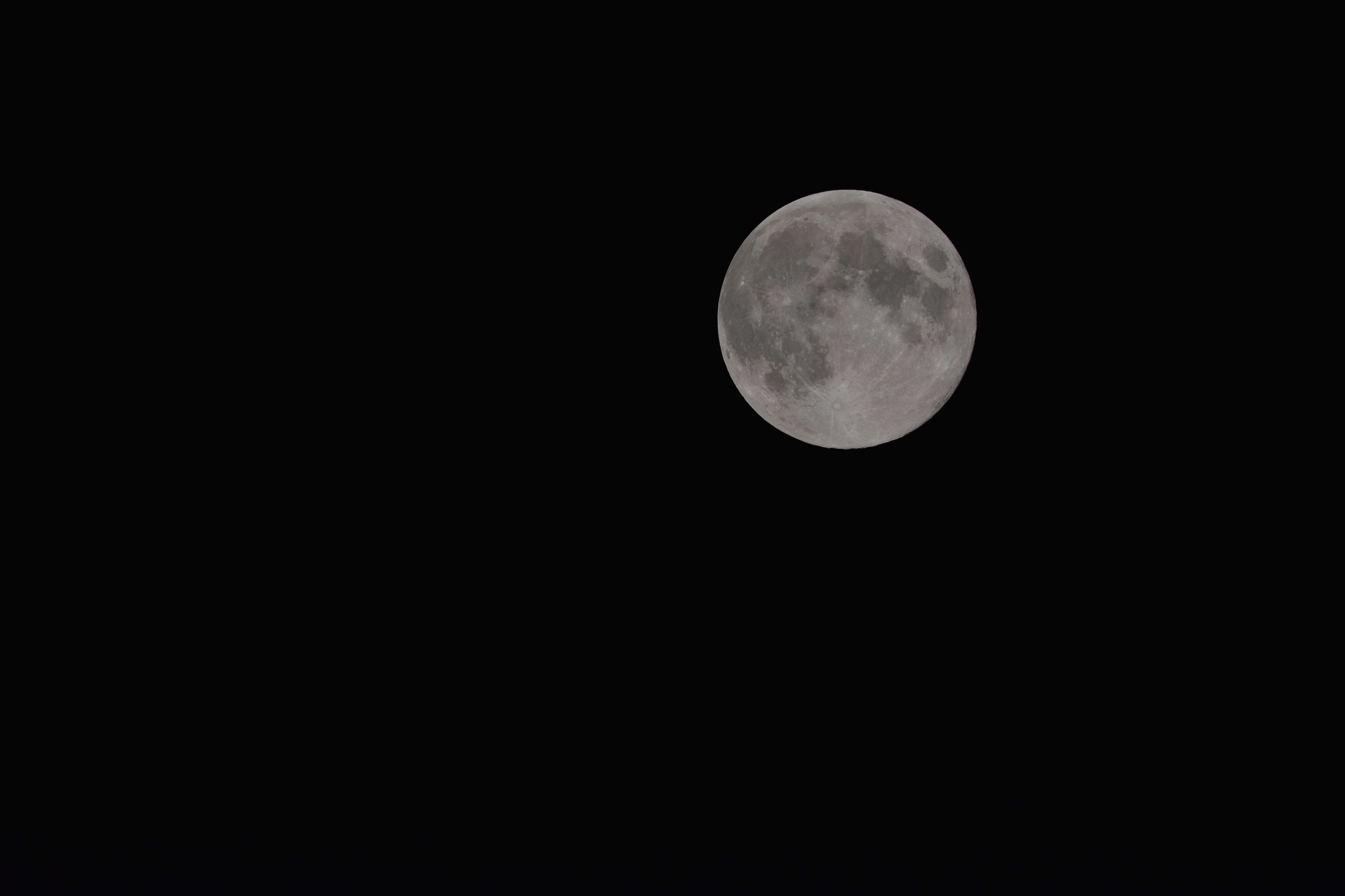 DSC_0464.JPG