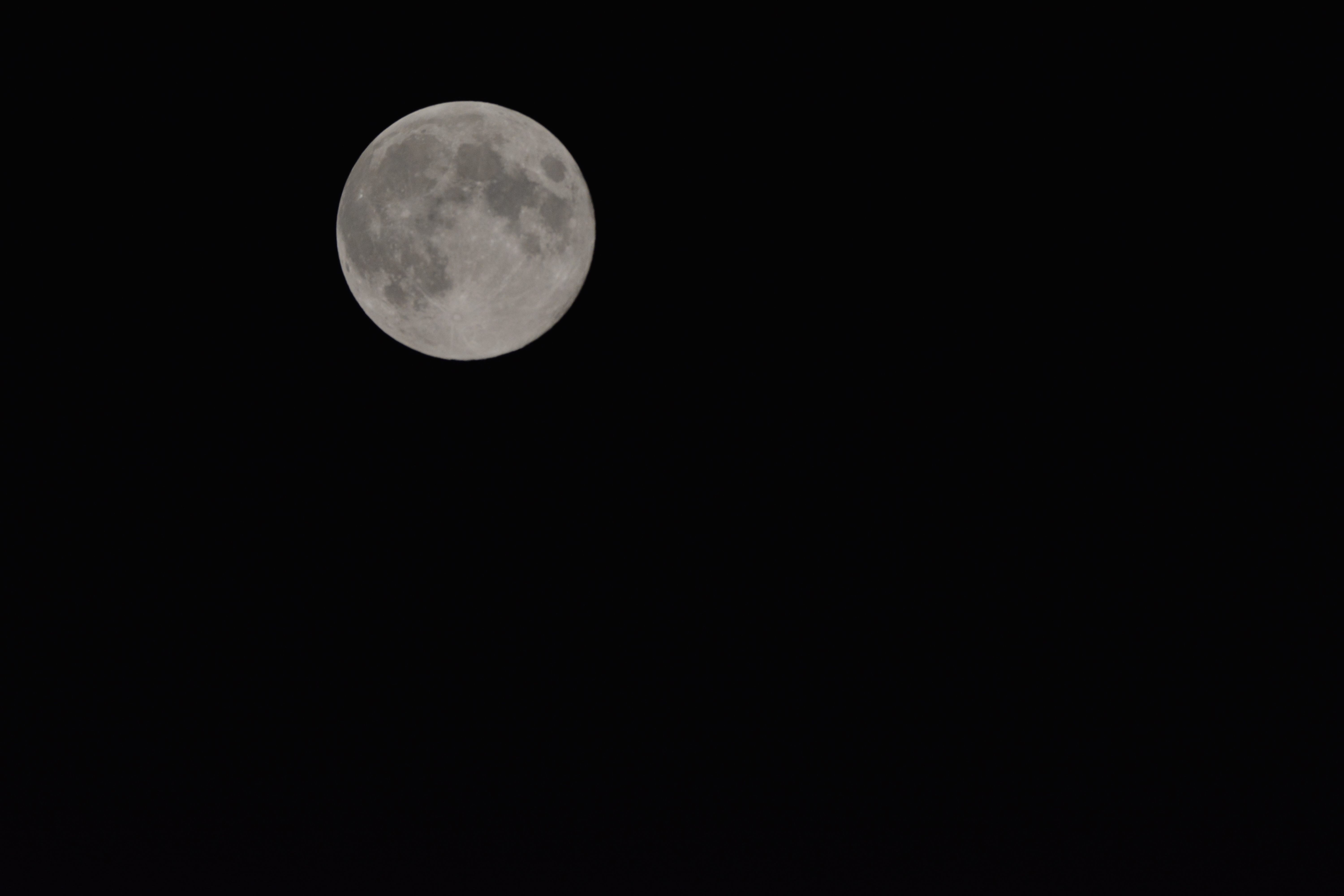 DSC_0460.JPG