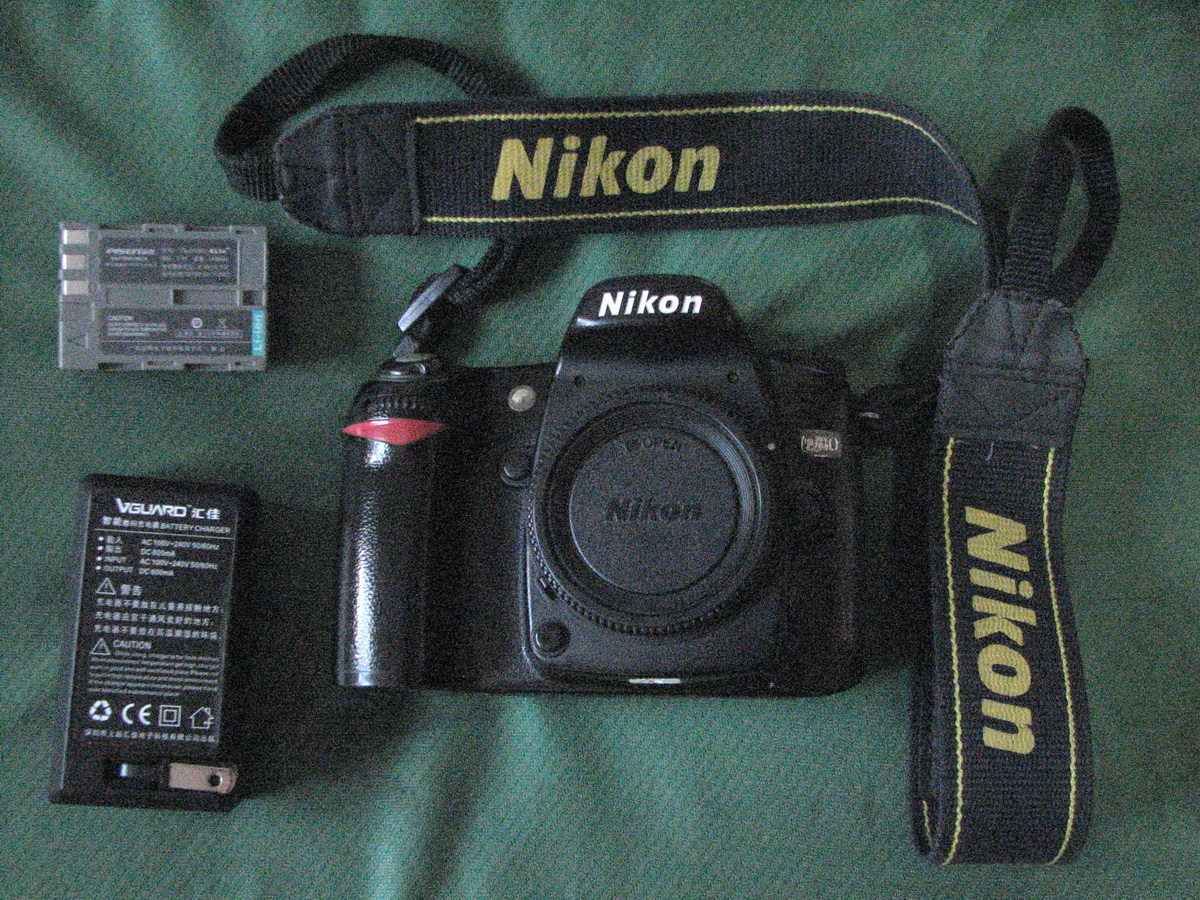 D80-1.jpg