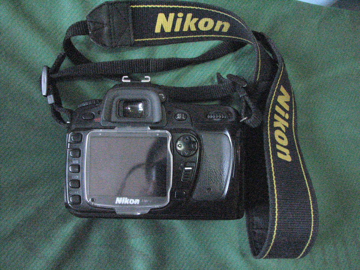 D80-2.jpg