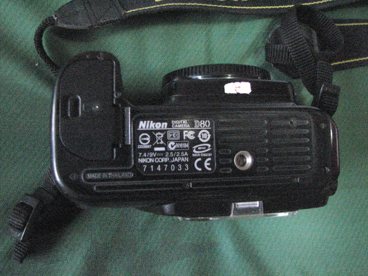 D80-4.jpg