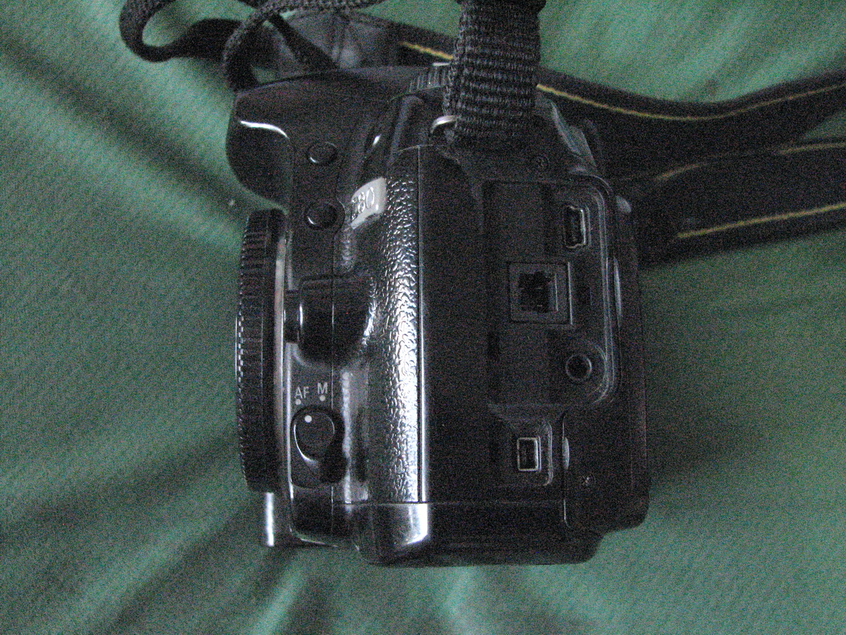 D80-6.jpg