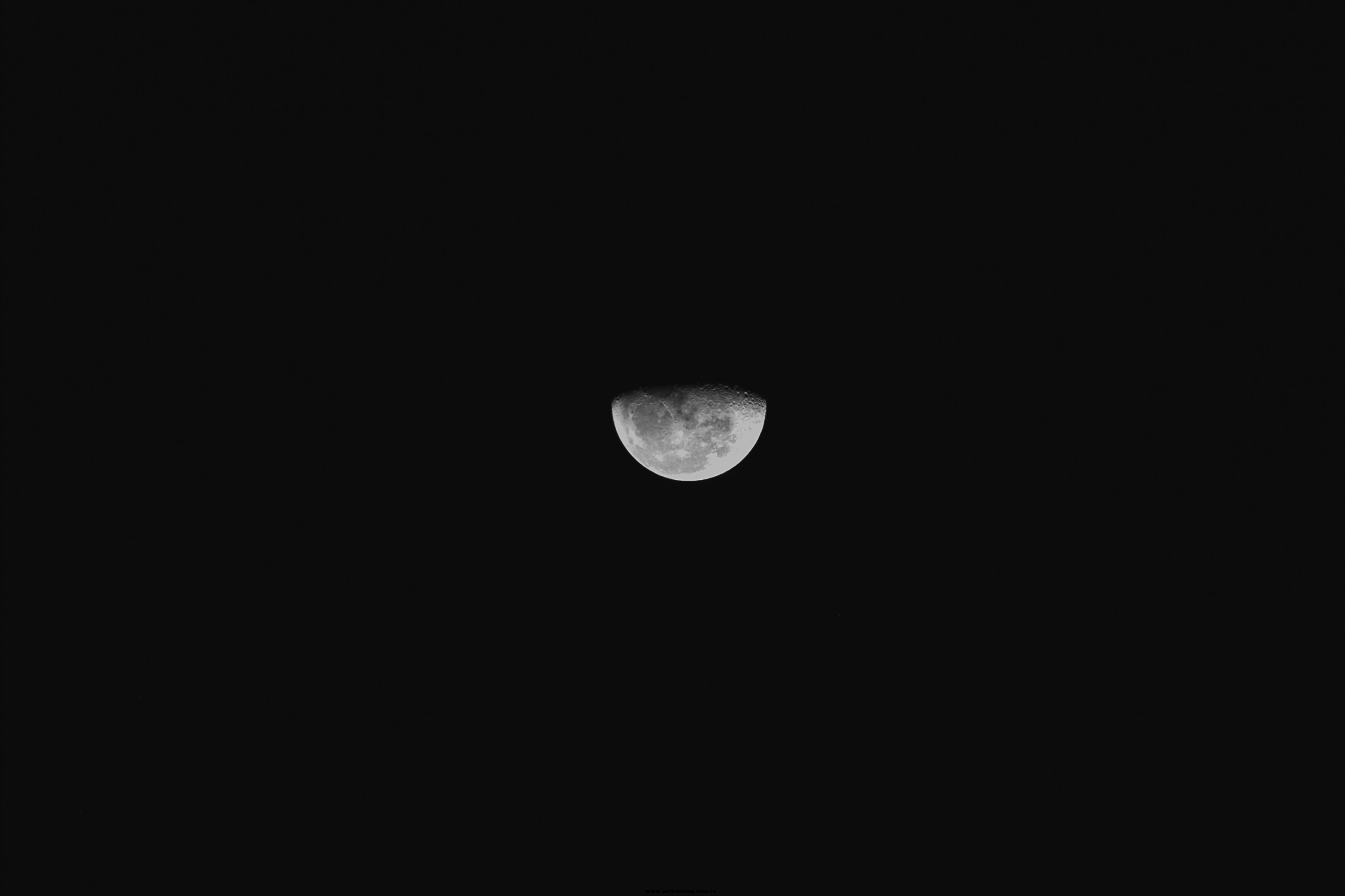 moonw-UT190347副本11.jpg