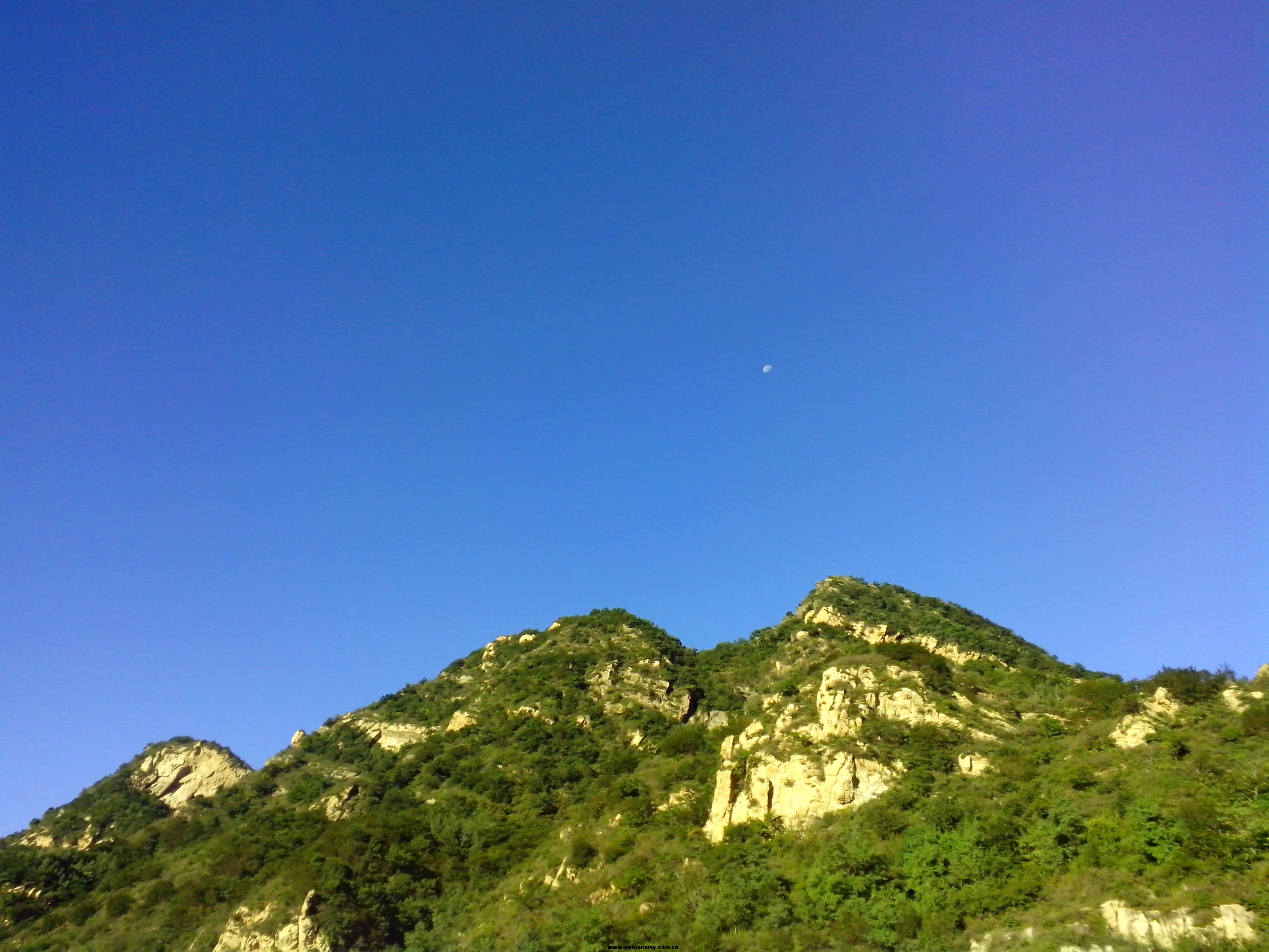 山高月小