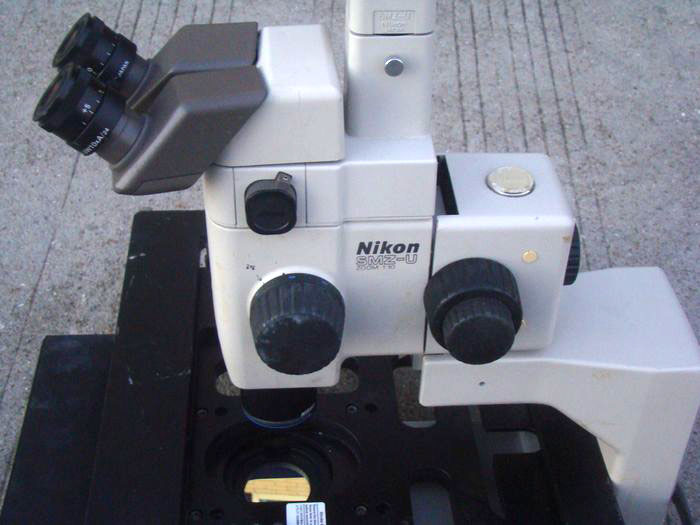 nEO_IMG_DSC02677.jpg