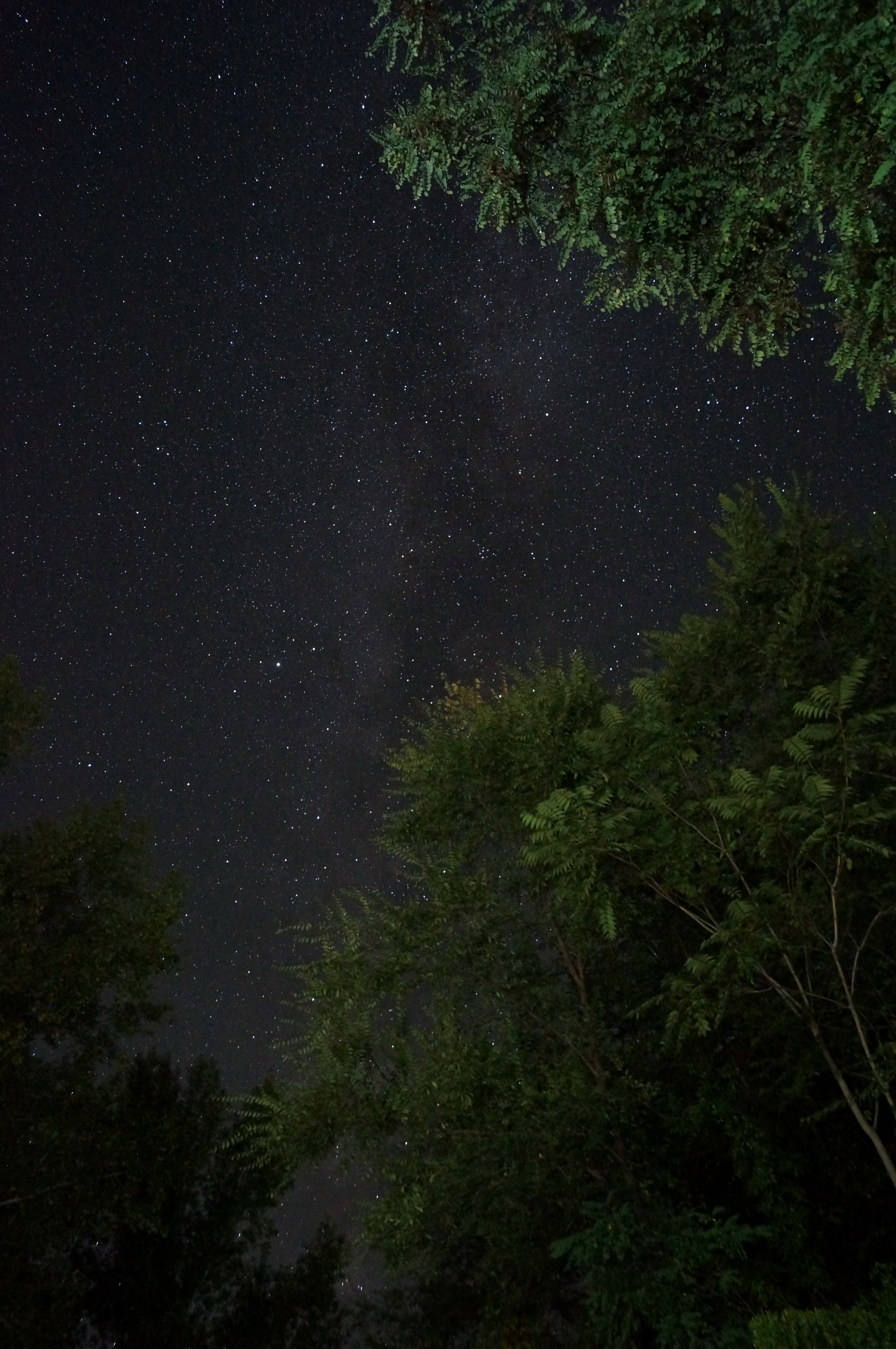 DSC09012_resize.JPG