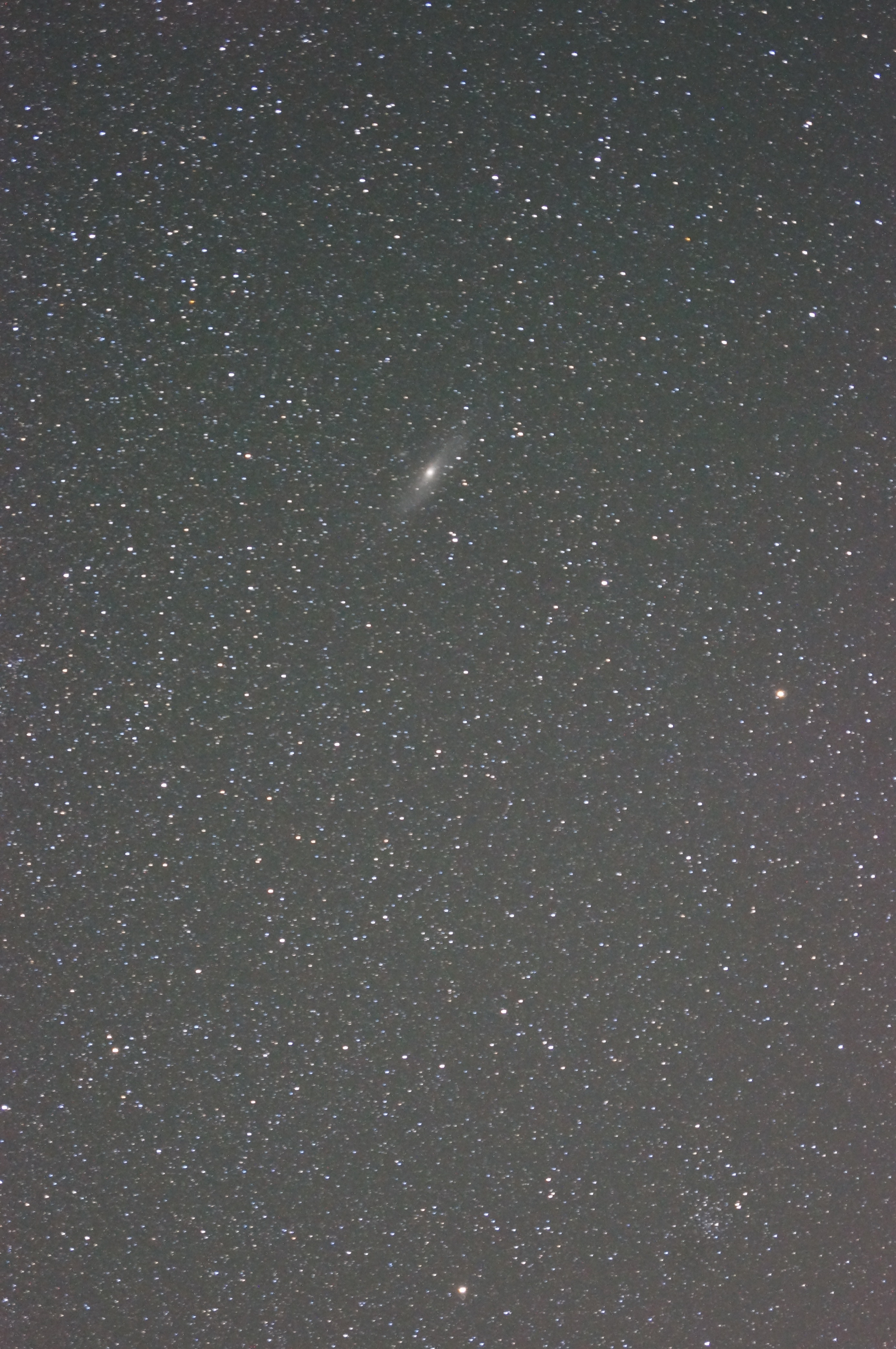 DSC09022_resize.JPG