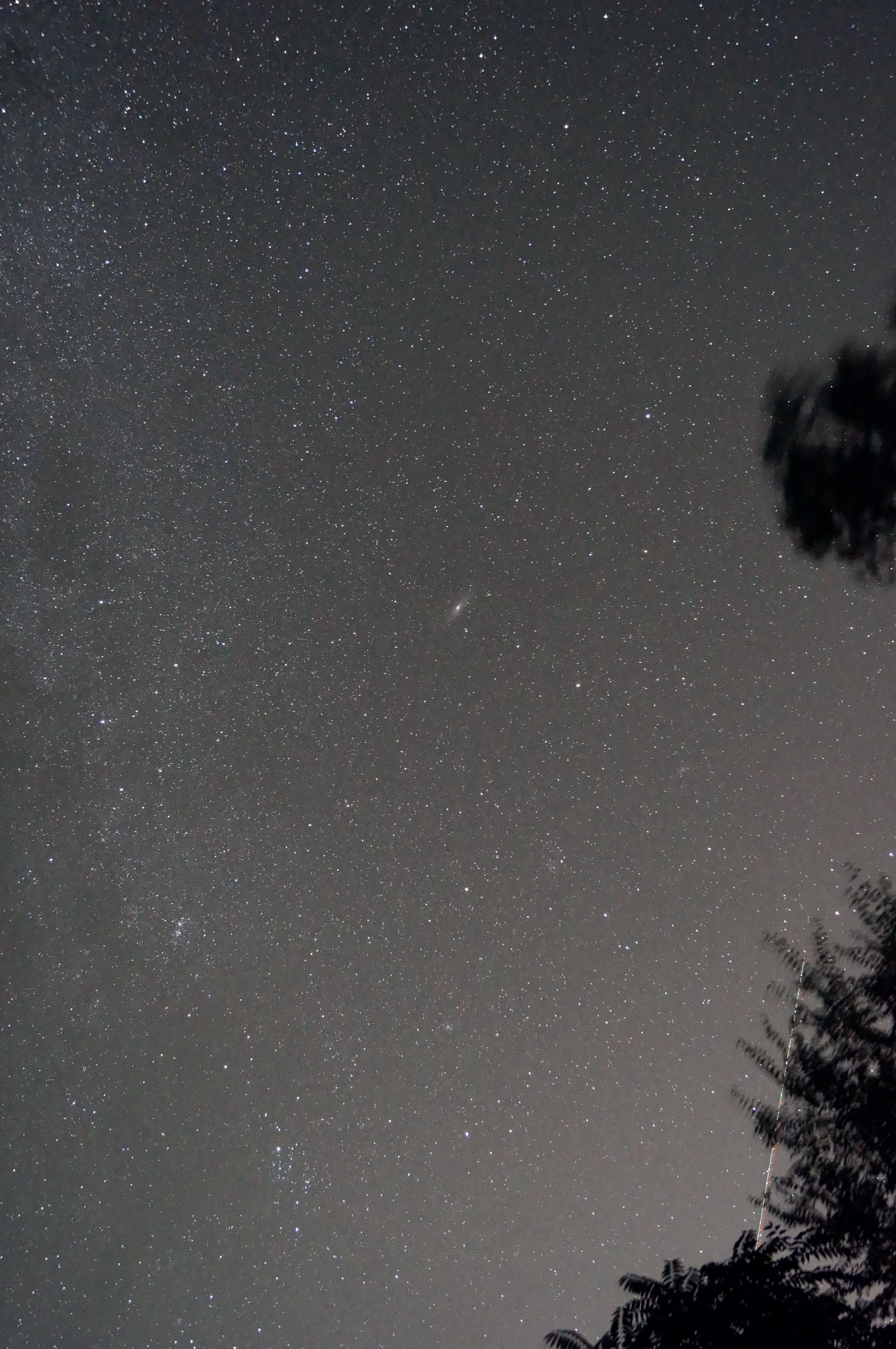 DSC09023_resize.JPG