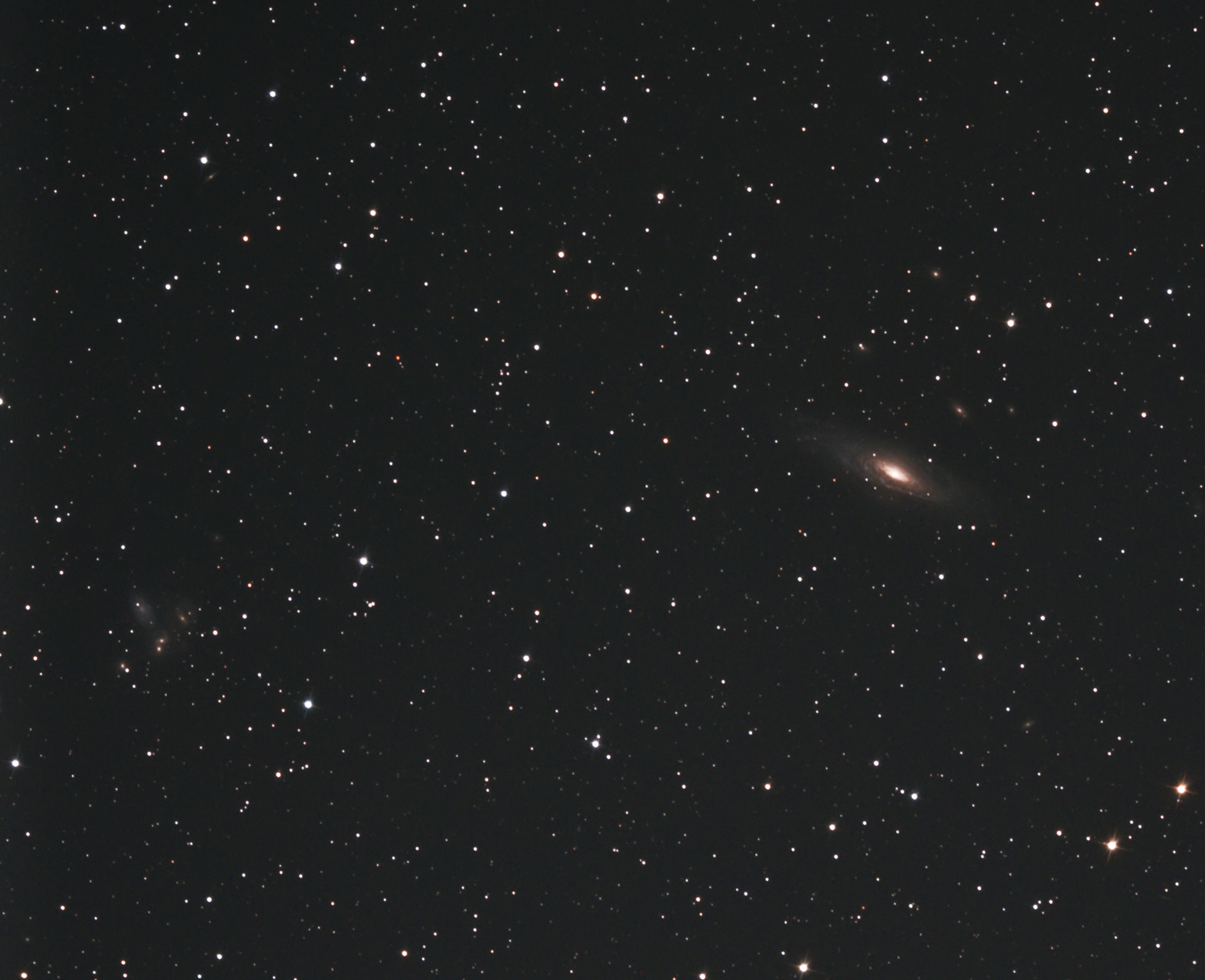 ngc7331.jpg