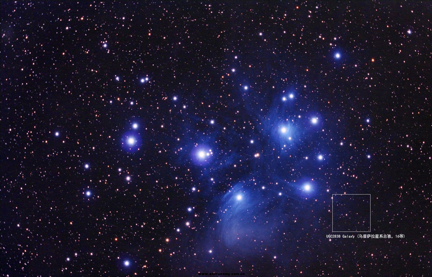 m45副本副本.jpg
