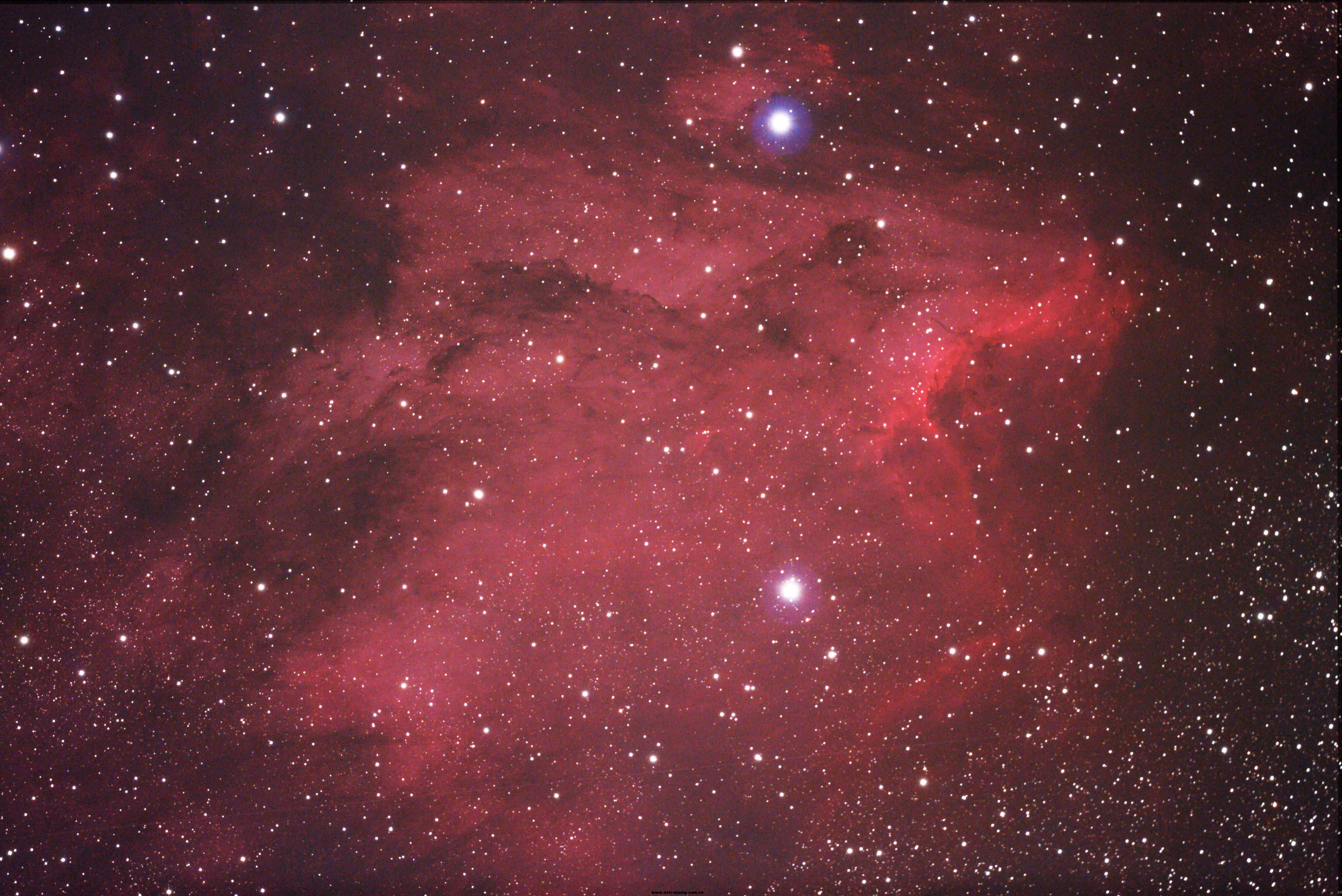 鹈鹕星云小.jpg