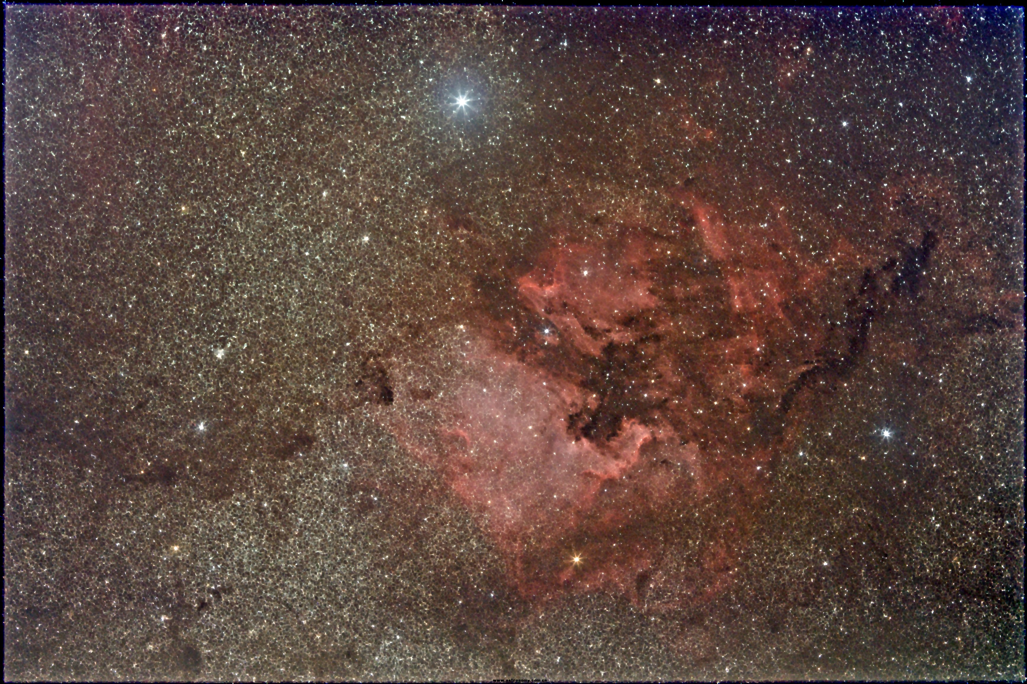 ngc 7000-RGB-f.jpg
