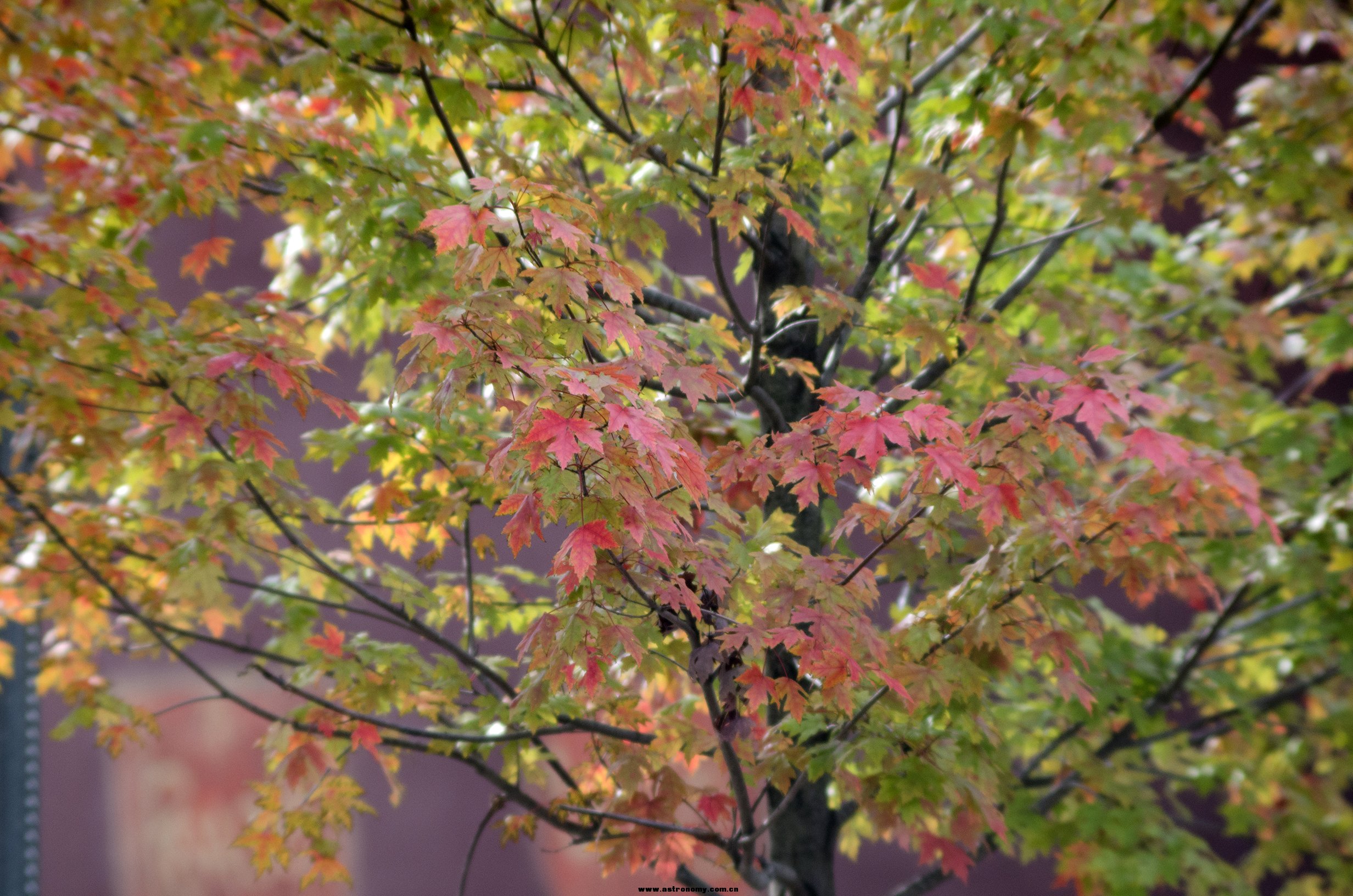DSC_3497-2.jpg
