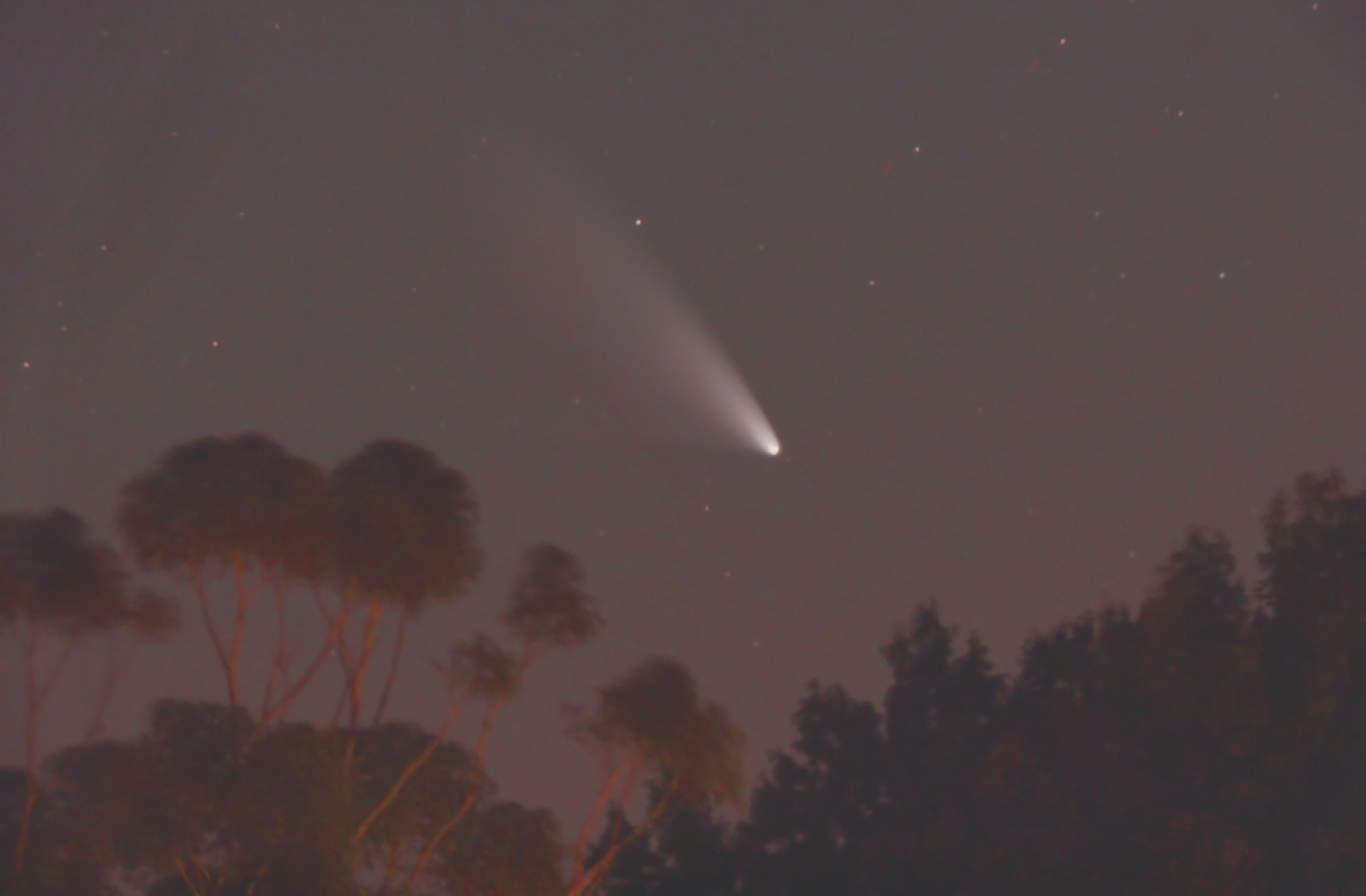 Pan-STARRS三月大彗星  (14).jpg