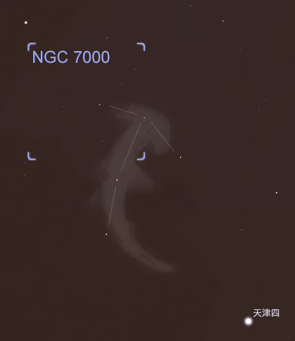 斧头鲨座.jpg