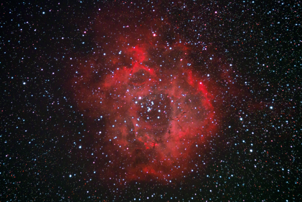 NGC2237 副本.jpg