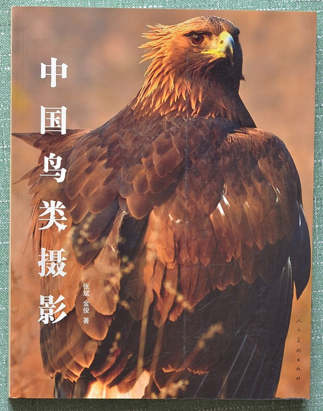 鸟类摄影.jpg