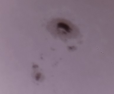 QQ图片20131027224720.jpg