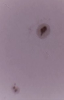 QQ图片20131027224816.jpg