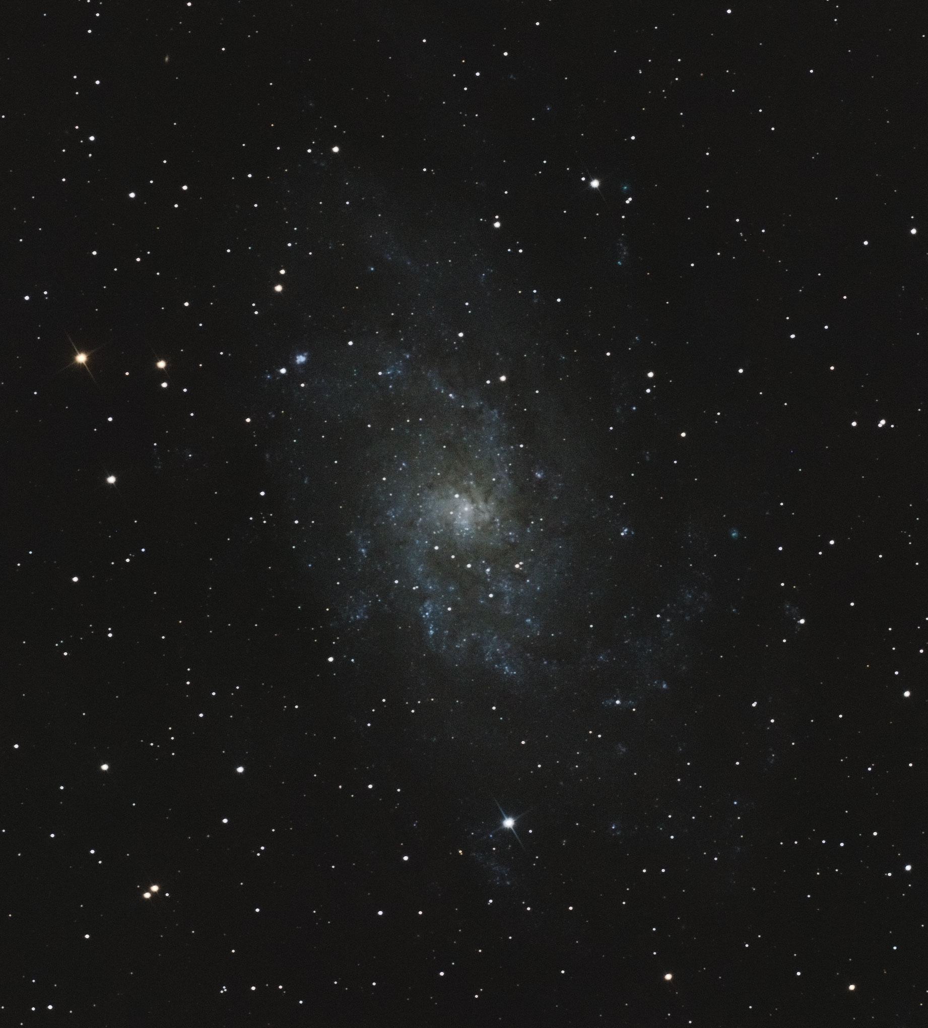 M33