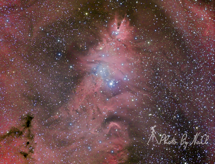 ngc2264.jpg