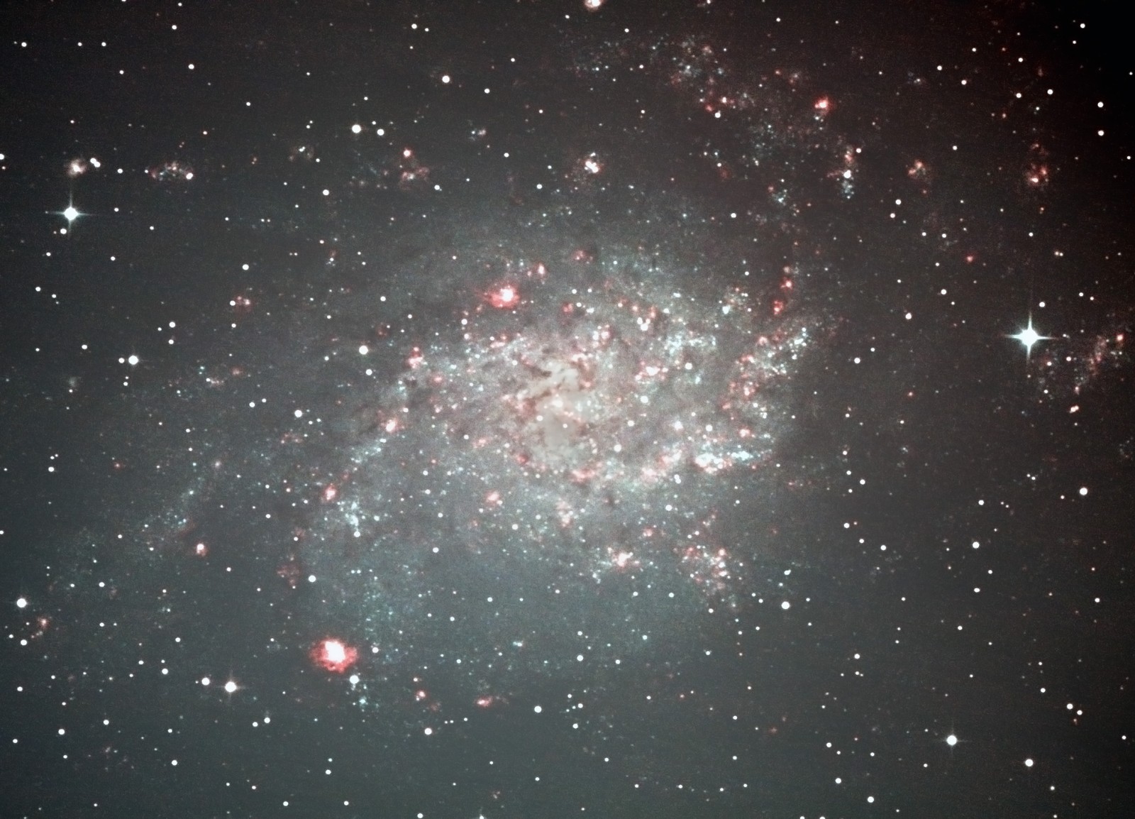 M33