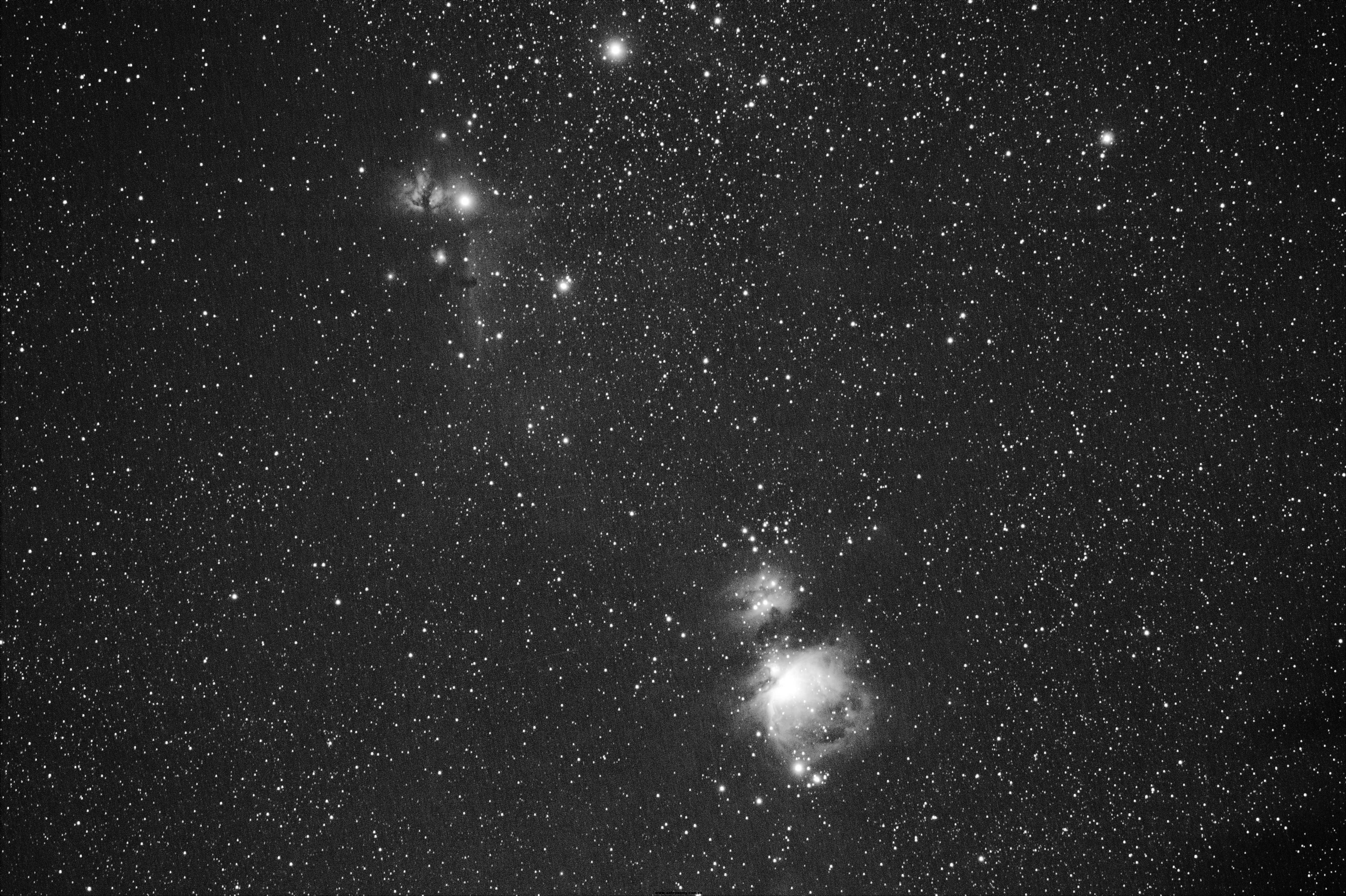 黑白IC434 M42X.jpg