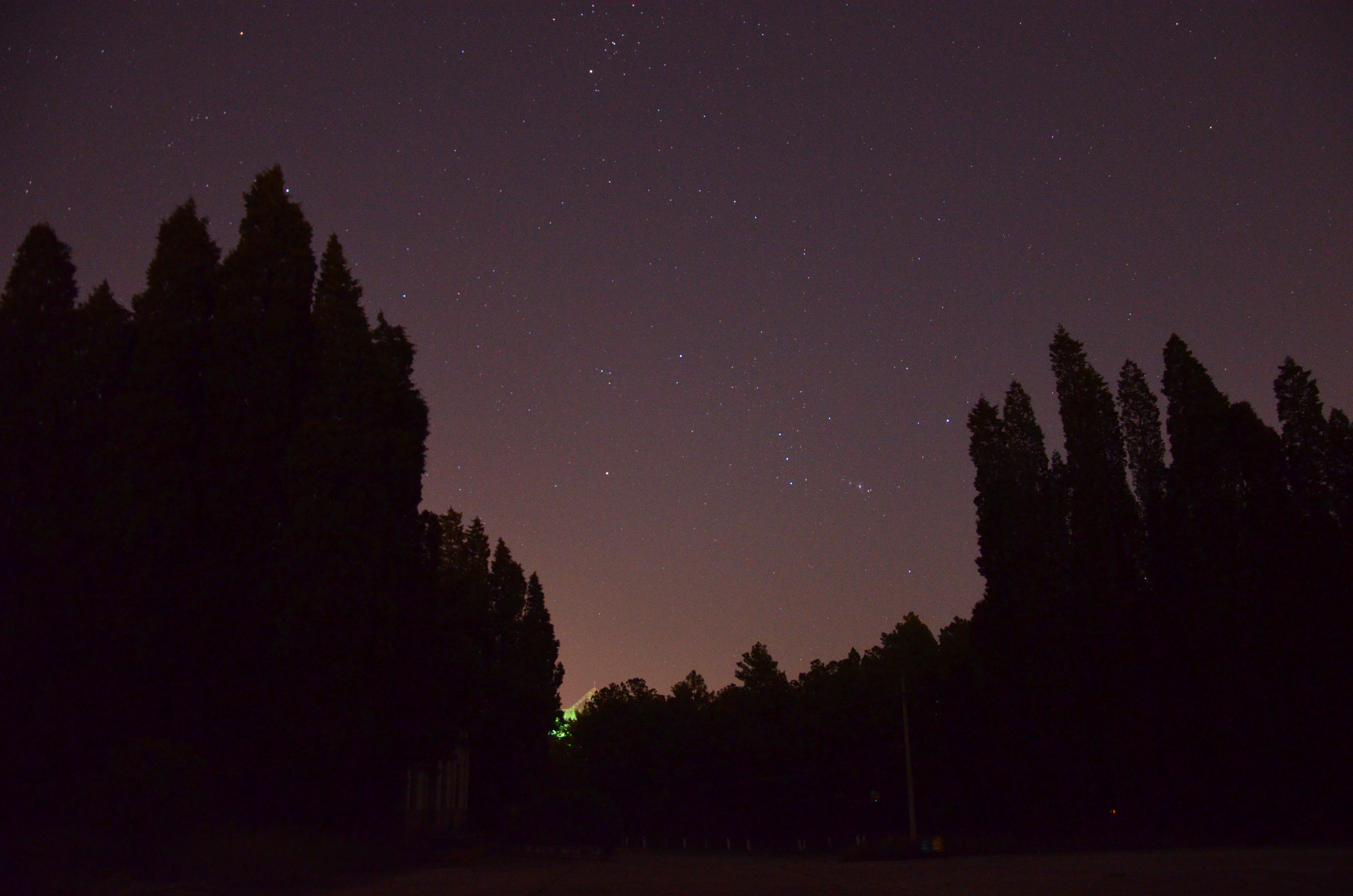 DSC_1386.JPG
