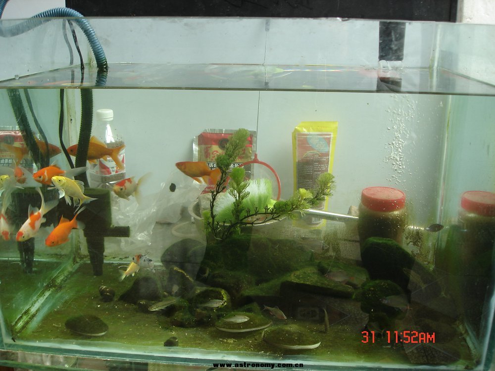 DSC04169.JPG
