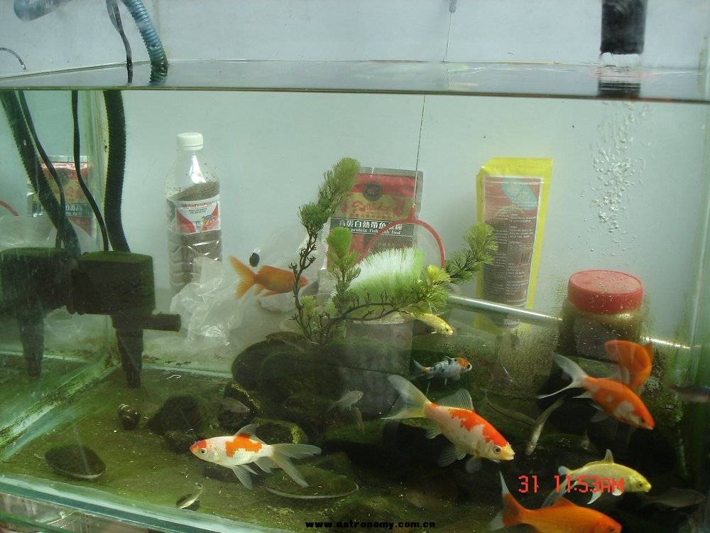 DSC04174.JPG