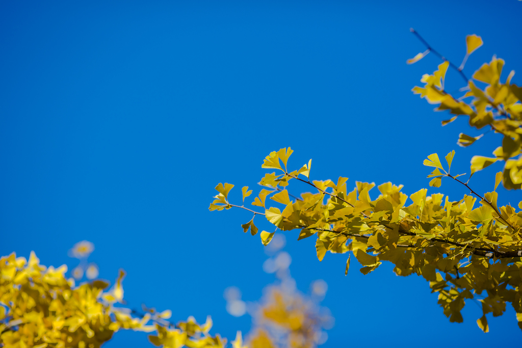 _69A5534.jpg