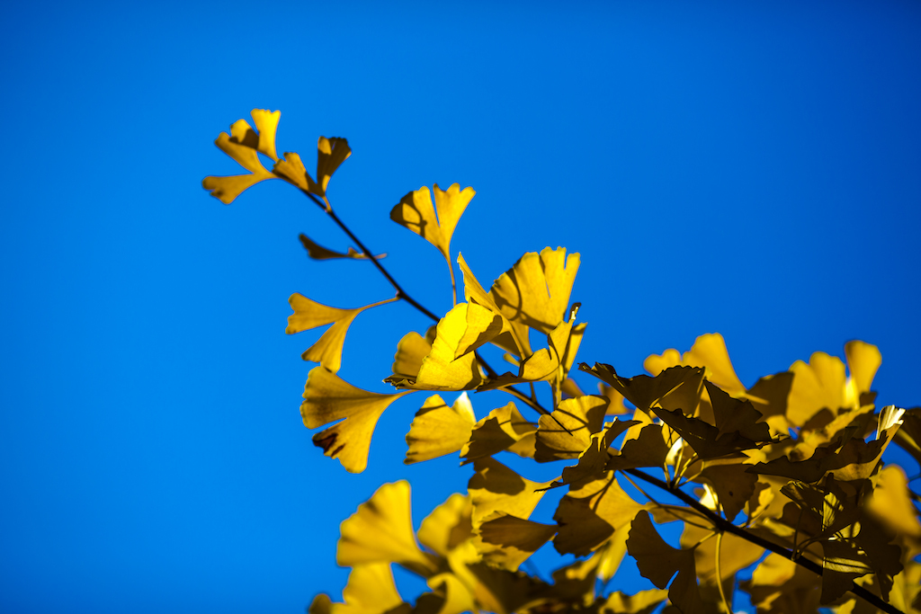 _69A5562.jpg