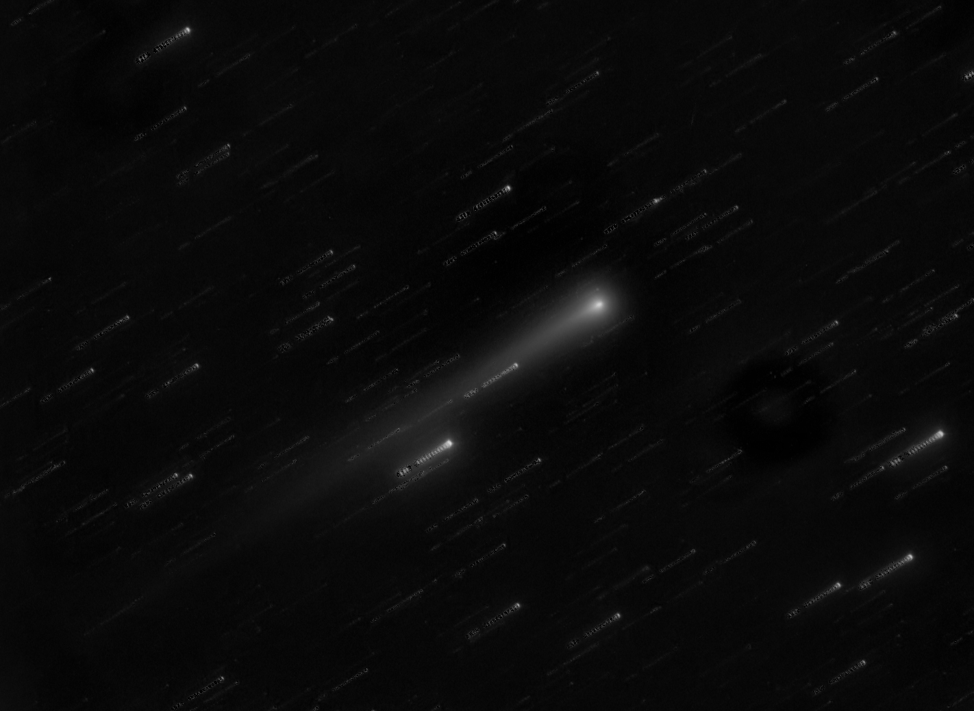 ison-L.jpg