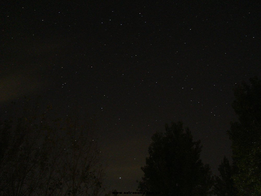 DSC04342.JPG