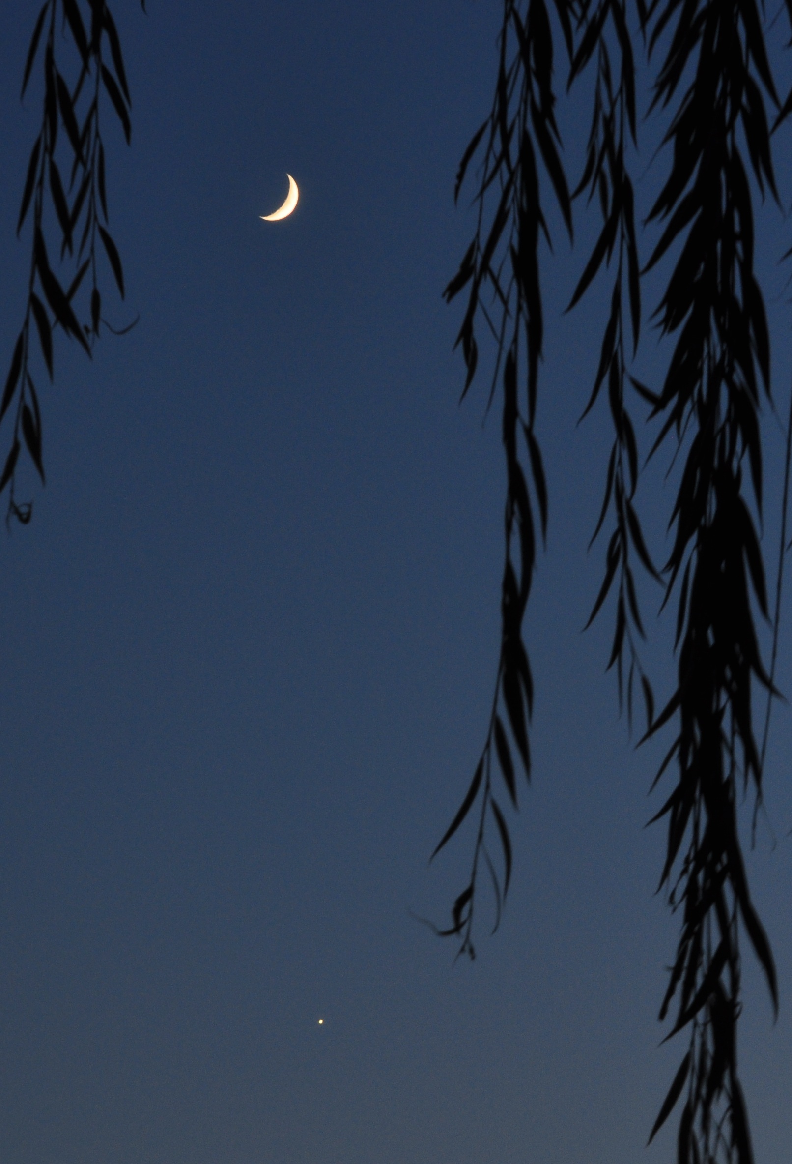 DSC_0152.JPG