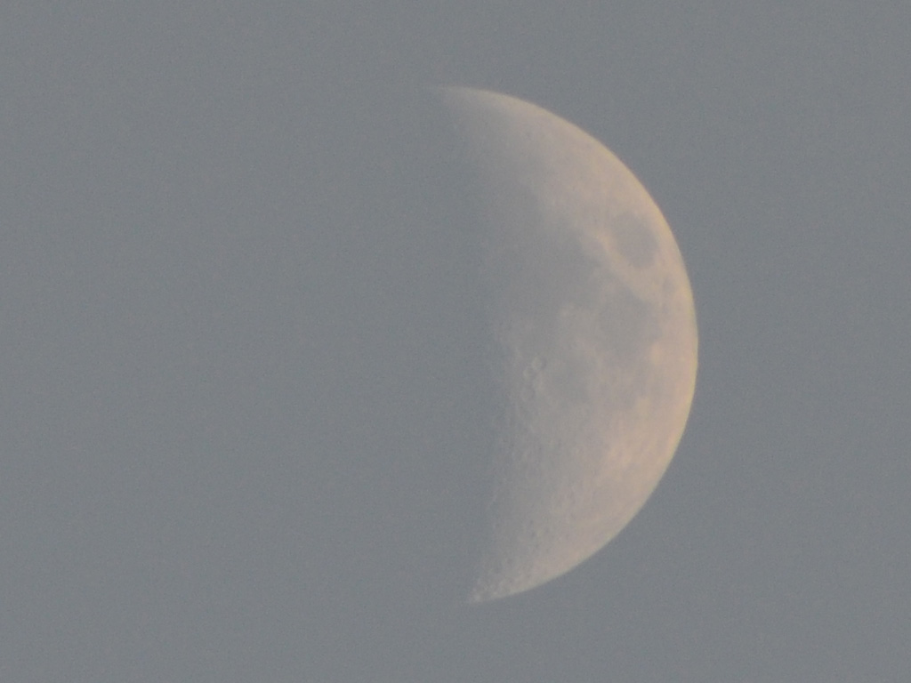 DSC_0327.JPG