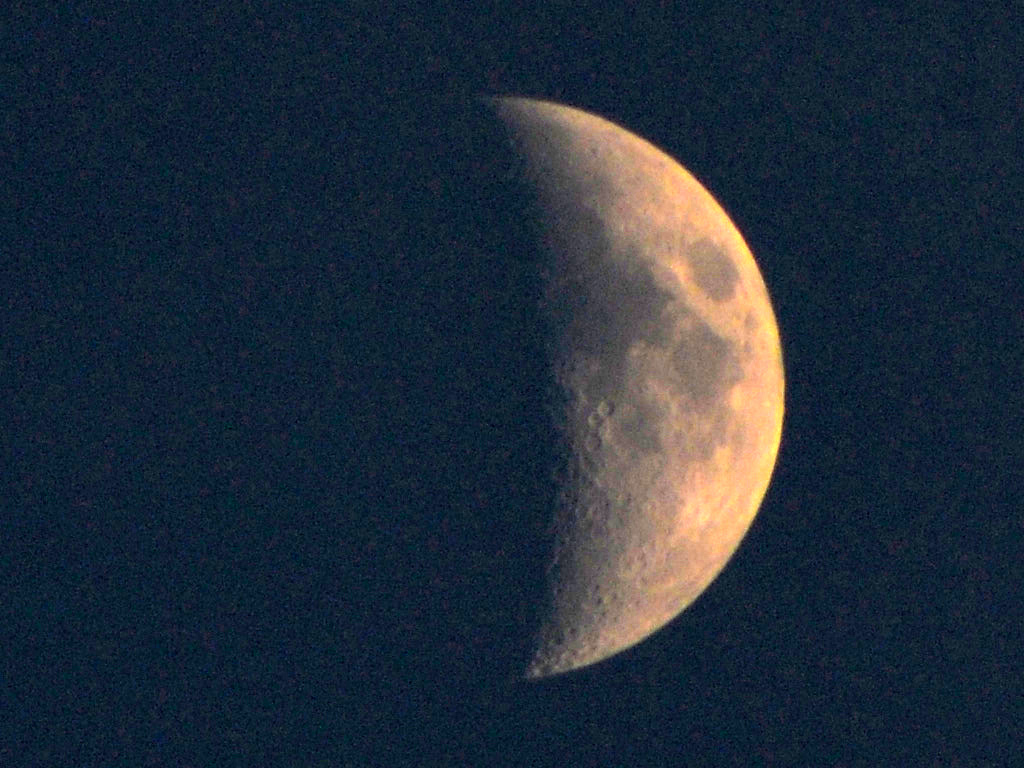 DSC_0327自动对比度.jpg
