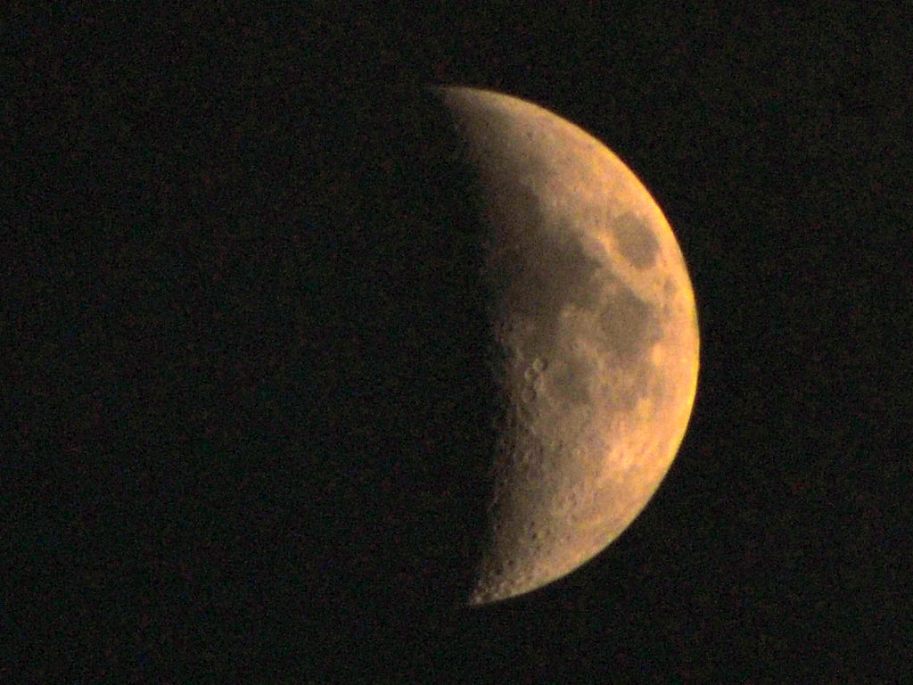 DSC_0327自动色彩.jpg
