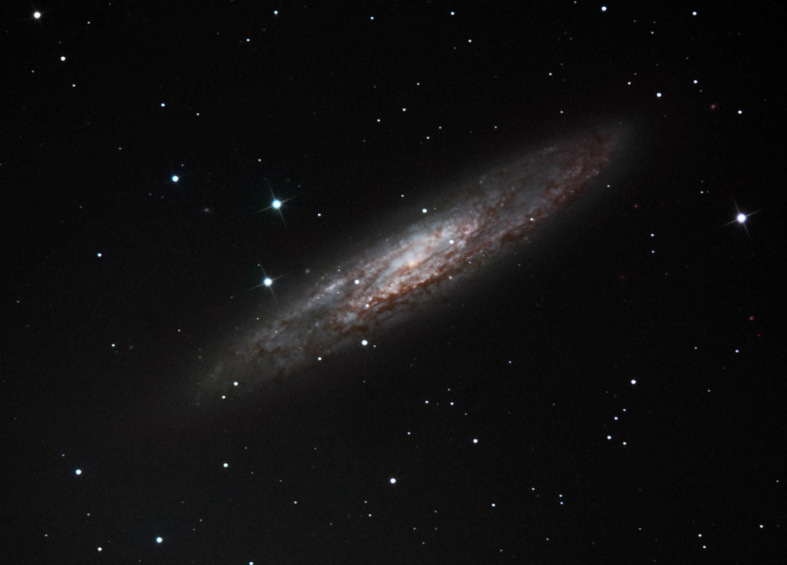 ngc253.jpg