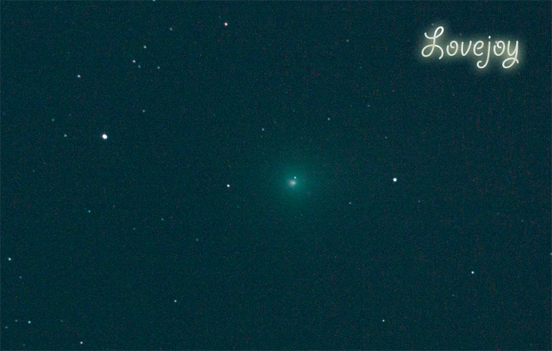 lovejoy.jpg
