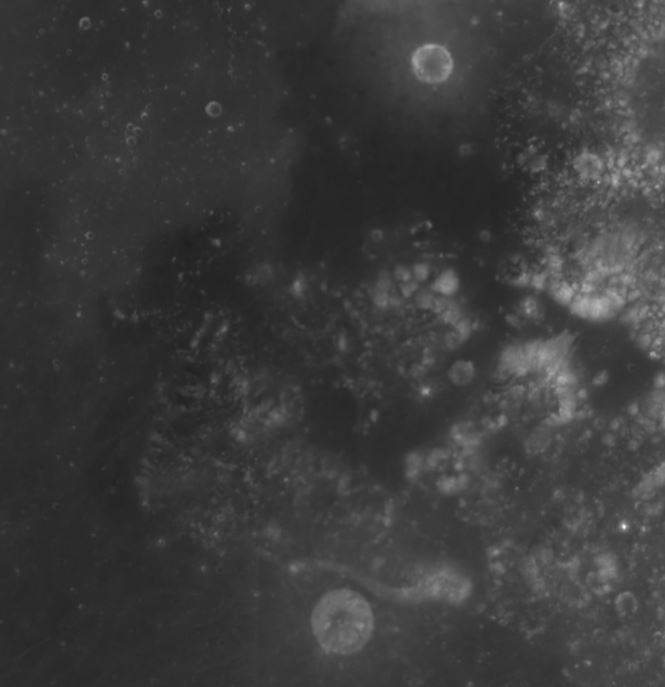 m6.JPG