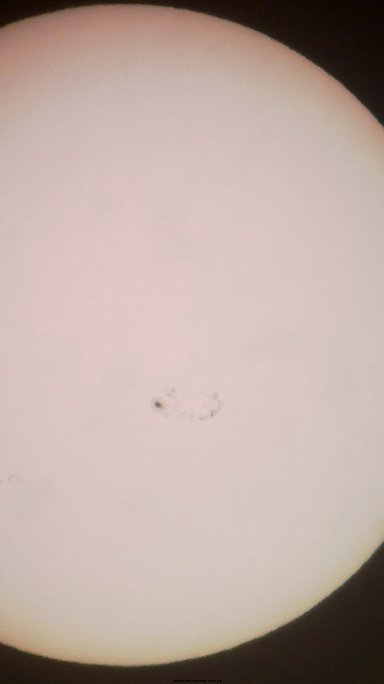 2013-11-08-209.jpg