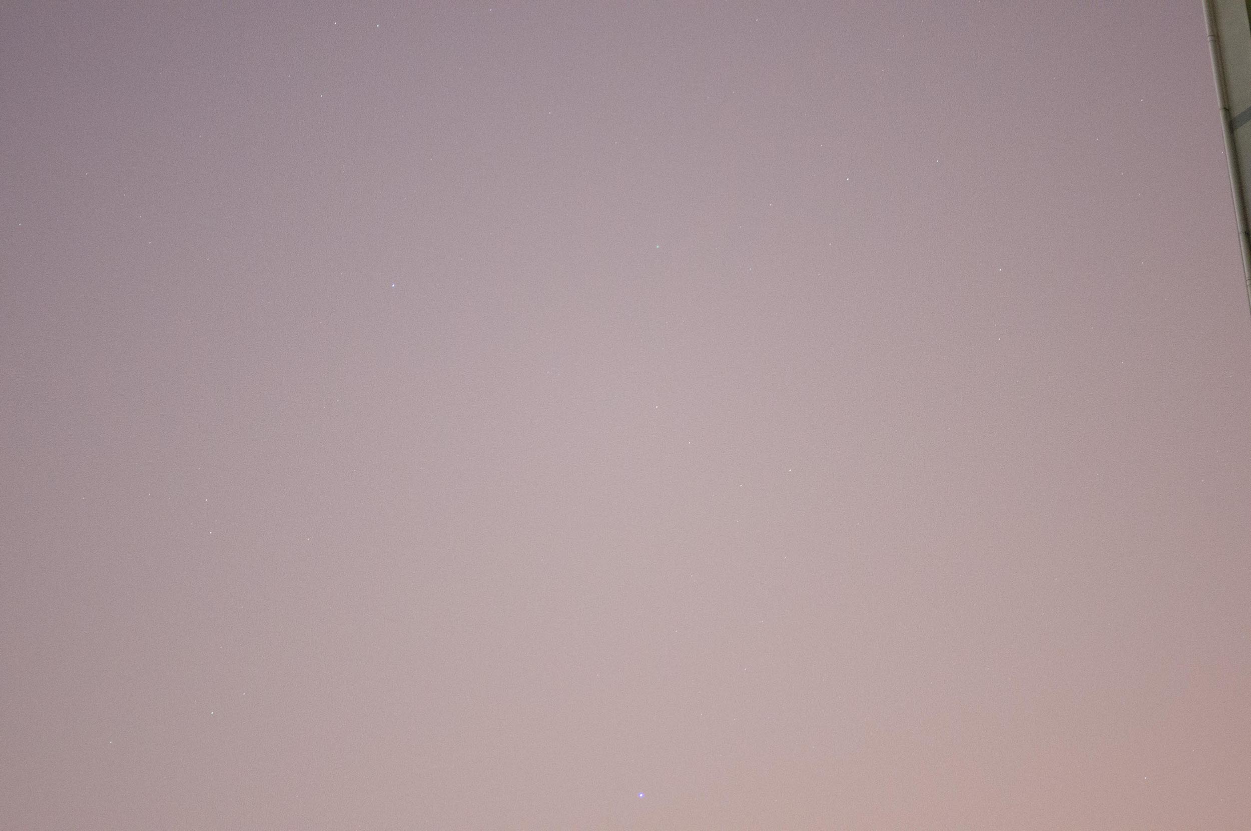 DSC01282.jpg