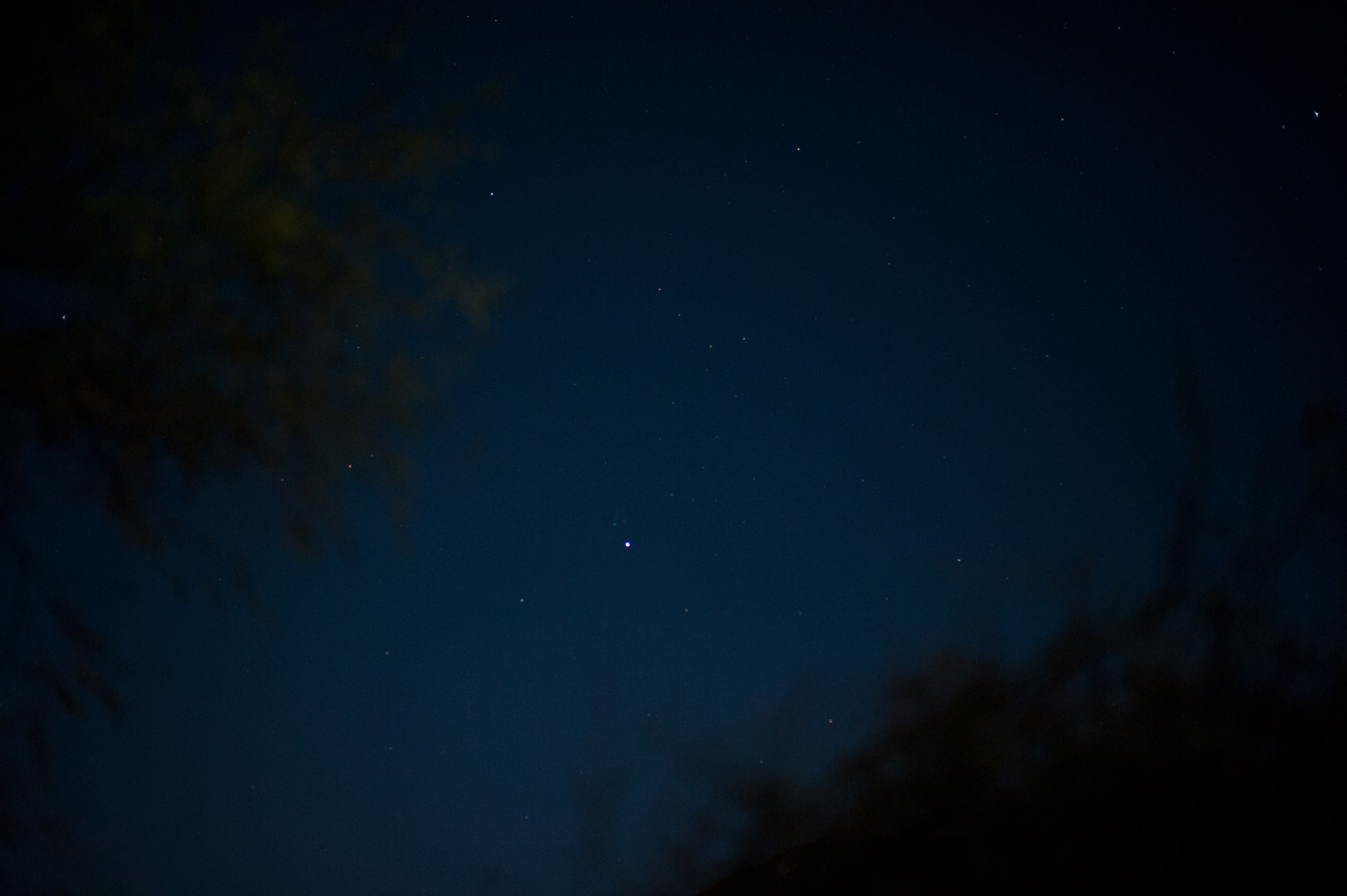 ISON彗星 D700 85 1.4D F2.jpg