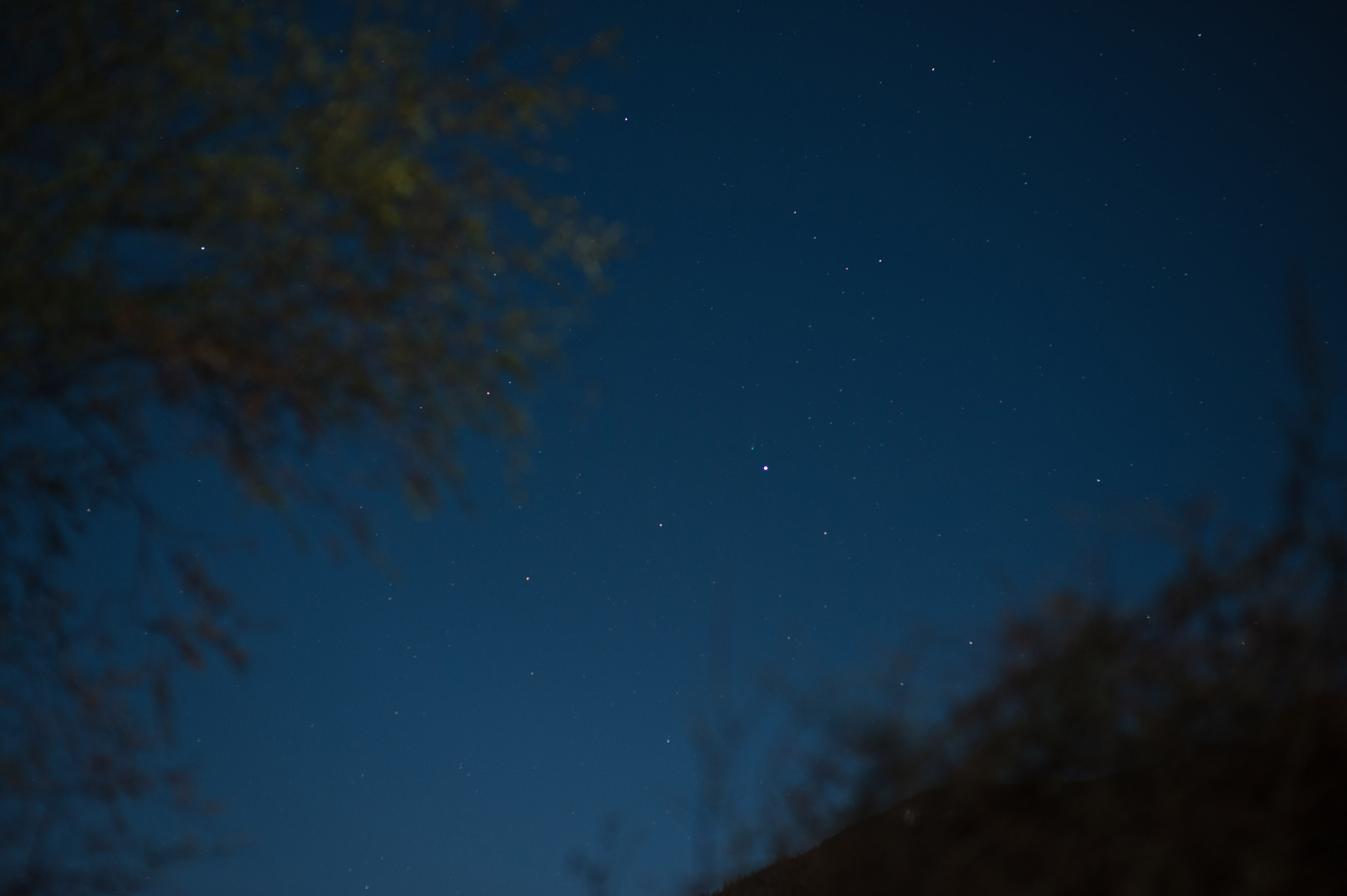 ISON彗星 D700 85 1.4D F2.8.jpg