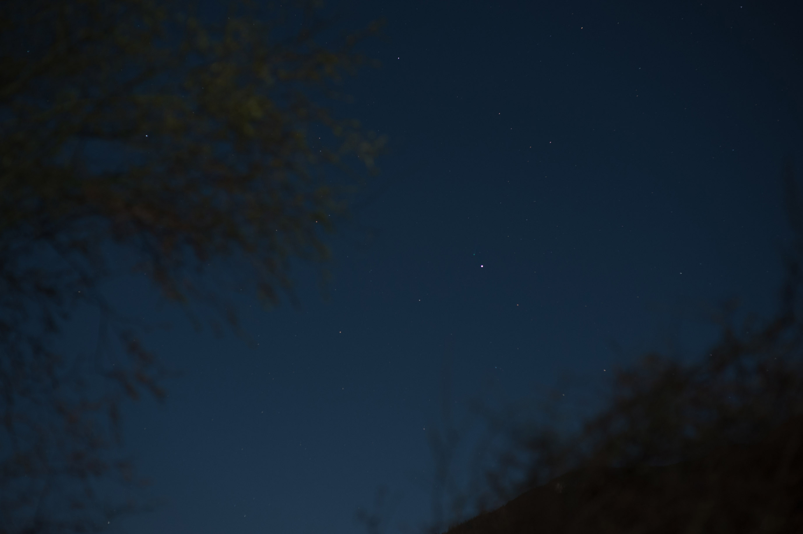 ISON彗星 D700 85 1.4D F3.5.jpg